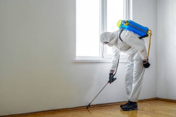 Reliable East Stroudsburg, PA Pest Control Solutions